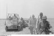 Asisbiz German Cmd GenLt Erwin Rommel Deutsches Afrika Korps DAK in SdKfz 250 named Greif after mythical beast 1942 09