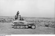 Asisbiz German Cmd GenLt Erwin Rommel Deutsches Afrika Korps DAK in SdKfz 250 named Greif after mythical beast 1942 16