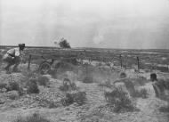 Asisbiz Italian troops in a camouflaged Artillery position North Africa 25th Nov 1940 NIOD