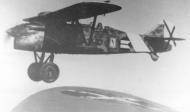 Asisbiz Aviazione Legionaria Fiat CR 32 Chirri on a patrol sortie over Spain 1936 39 01