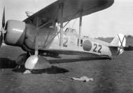 Asisbiz Aviazione Legionaria Italian built IMAM Meridionali Ro 37 Lince 12x22 Spain 1937 eBay 01