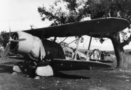 Asisbiz Aviazione Legionaria Italian built IMAM Meridionali Ro 37 Lince concealed in the tree Spain 1937 eBay 01