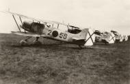 Asisbiz Legion Condor Heinkel He 51B1 Jagdgruppe 88 2x56 and 2x62 line up Spain eBay 01