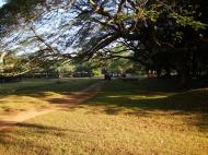 Asisbiz Angkor Wat Temple inner E area giant trees Angkor Siem Reap 04