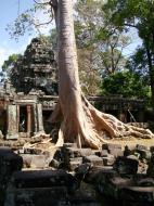 Asisbiz D Banteay Kdei Temple Gopuram Western Entry towers Angkor 02