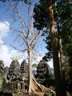 Asisbiz D Banteay Kdei Temple Gopuram Western Entry towers Angkor 03