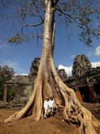 Asisbiz D Banteay Kdei Temple western entrance giant tree 04