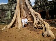 Asisbiz D Banteay Kdei Temple western entrance giant tree 08