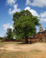 Asisbiz Facing North Pre Rup Temple laterite brick towers East Baray Jan 2010 11