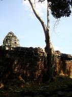 Asisbiz Preah Khan Temple laterite walls overtaken by giant strangler fig trees 07