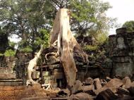Asisbiz Preah Khan Temple laterite walls overtaken by giant strangler fig trees 12
