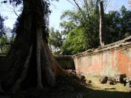 Asisbiz Ta Prohm Temple Rajavihara Tomb Raider inner laterite walls 03