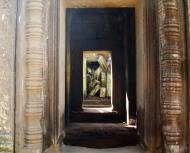 Asisbiz Ta Prohm Temple Rajavihara Tomb Raider third enclosure area 11