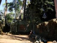 Asisbiz Ta Prohm Temple Tomb Raider giant iconic trees dwaf the gopura 06