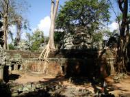 Asisbiz Ta Prohm Temple Tomb Raider giant iconic trees dwaf the gopura 08