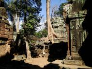 Asisbiz Ta Prohm Temple Tomb Raider giant iconic trees dwaf the gopura 10