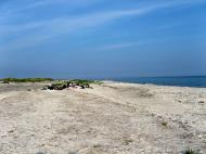 Asisbiz Ecology local white sand beaches dot the coastline Bornholm Denmark 02