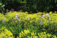 Asisbiz Travel to Claude Monet Chateau garden in Giverny France 11