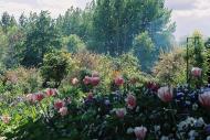 Asisbiz Travel to Claude Monet Chateau garden in Giverny France 15