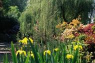 Asisbiz Travel to Claude Monet Chateau garden in Giverny France 25