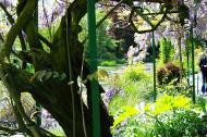 Asisbiz Travel to Claude Monet Water Lily Pond in Giverny France Japanese bridge 05