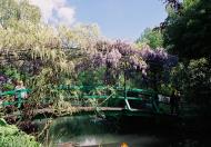 Asisbiz Travel to Claude Monet Water Lily Pond in Giverny France Japanese bridge 07