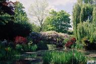 Asisbiz Travel to Claude Monet Water Lily Pond in Giverny France Japanese bridge 09