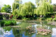 Asisbiz Travel to Claude Monet Water Lily Pond in Giverny France weeping willow 03