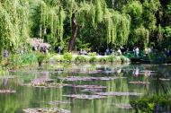 Asisbiz Travel to Claude Monet Water Lily Pond in Giverny France weeping willow 04