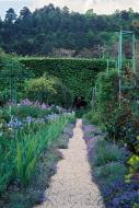 Asisbiz Travel to Claude Monet home or Chateau garden pathways in Giverny France 01