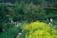 Asisbiz Travel to Claude Monet home or Chateau garden pathways in Giverny France 02