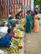 Asisbiz Madurai Alagar Kovil Temple fruit sellers India May 2004 02