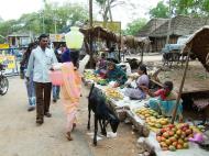 Asisbiz Madurai Alagar Kovil Temple fruit sellers India May 2004 03