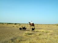 Asisbiz Rajasthan Jaisalmer Camel Safari Thar Desert India Apr 2004 10