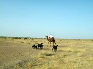 Asisbiz Rajasthan Jaisalmer Camel Safari Thar Desert India Apr 2004 11