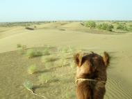 Asisbiz Rajasthan Jaisalmer Camel Safari Thar Desert India Apr 2004 18