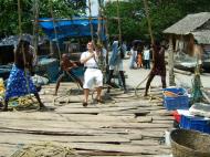 Asisbiz Chinese fishing nets Cheena vala of Fort Kochi Fort Cochin India May 2004 16