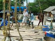 Asisbiz Chinese fishing nets Cheena vala of Fort Kochi Fort Cochin India May 2004 18