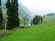 Asisbiz Kashmir Pahalgam Valley Treking by mountain pony India Apr 2004 015