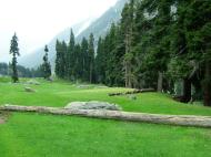 Asisbiz Kashmir Pahalgam Valley Treking by mountain pony India Apr 2004 034