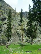 Asisbiz Kashmir Pahalgam Valley Treking by mountain pony India Apr 2004 067