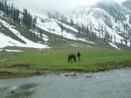 Asisbiz Kashmir Pahalgam Valley Treking by mountain pony India Apr 2004 080