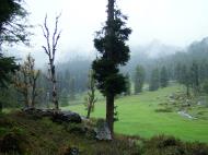 Asisbiz Kashmir Pahalgam Valley Treking by mountain pony India Apr 2004 100