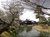 Asisbiz Byodo in temple Jodo shiki garden walkway facing Phoenix Hall Kyoto Japan 04