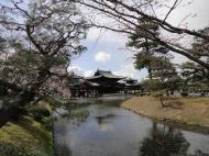 Asisbiz Byodo in temple Phoenix Hall Jodo shiki garden pond views Japan 03