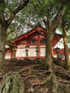 Asisbiz Kasuga taisha Kasuga Grand Shrine architectural style Nara sakura 05