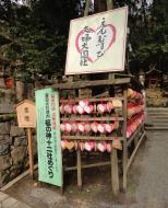 Asisbiz Kasuga taisha Kasuga Grand Shrine area public shrines Nara sakura 01