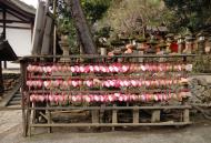 Asisbiz Kasuga taisha Kasuga Grand Shrine area public shrines Nara sakura 02