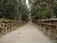 Asisbiz Kasuga taisha Kasuga Grand Shrine pathways leading back to Nara 01