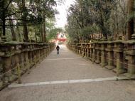 Asisbiz Kasuga taisha Kasuga Grand Shrine pathways leading back to Nara 02